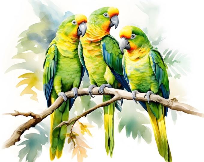 Parrots Clipart, Exotic Parrots Images, 10 Watercolor Clip Art, Printable JPGs, Instant Download, Commercial Use, Paper craft