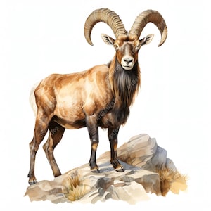 Clipart gehoornde steenbok, berggeit afbeeldingen, 10 aquarel illustraties, afdrukbare jpg's, Instant Download, Commercieel gebruik, Papercraft