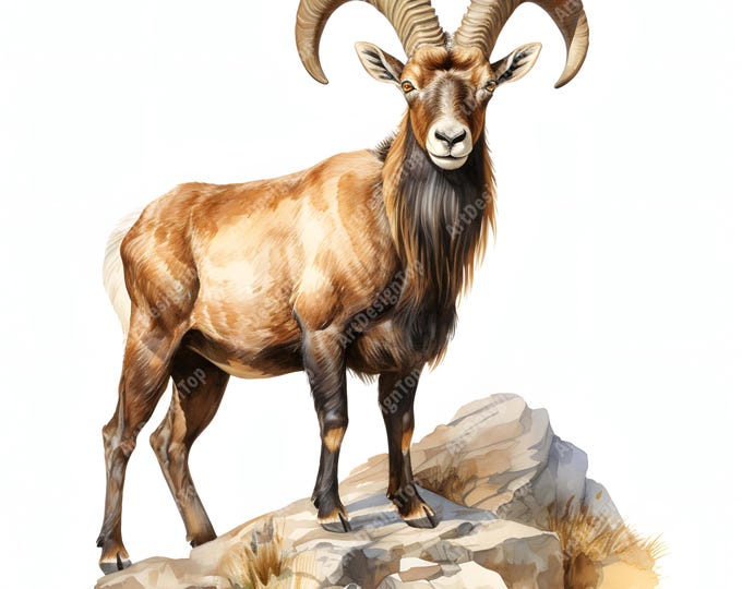 Horned Ibex Goat Clipart, Mountain Goat Images, 10 Watercolor Clip Art, Printable JPGs, Instant Download, Commercial Use, Paper craft