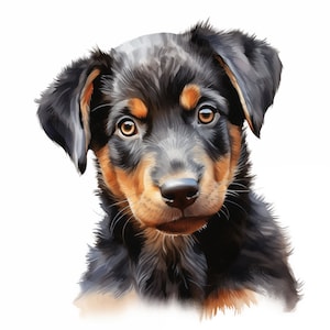Clipart chien Beauceron, images de chiot, 10 cliparts aquarelle, fichiers JPG imprimables, téléchargement immédiat, usage commercial, Berger de Beauce