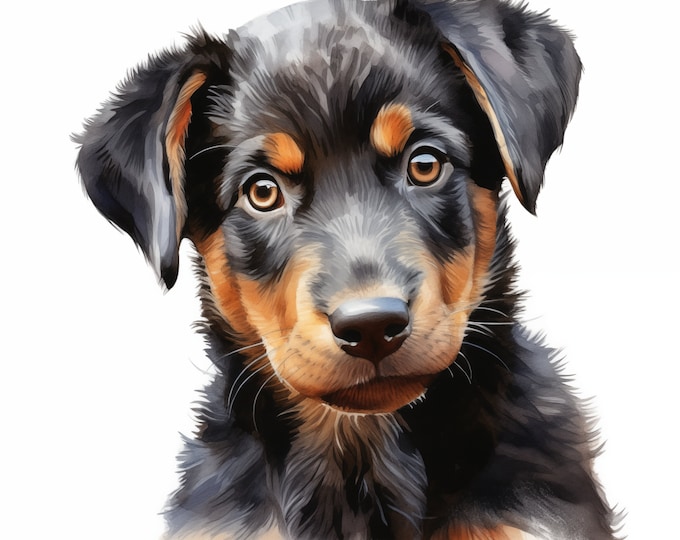 Beauceron Dog Clipart, Puppy Dog Images, 10 Watercolor Clip Art, Printable JPGs, Instant Download, Commercial Use, Berger de Beauce