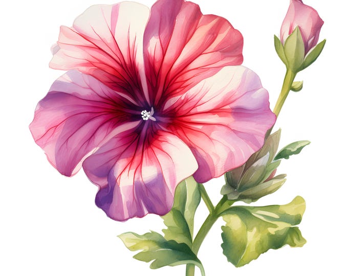Petunia Flower Clipart, Spring Petunia Images, 10 Watercolor Clip Art, Printable JPGs, Instant Download, Commercial Use, Paper craft