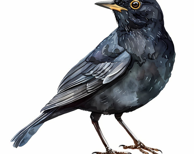 Blackbird Clipart, Black Birds Images, 10 Watercolor Clip Art, Printable JPGs, Instant Download, Commercial Use, Paper craft