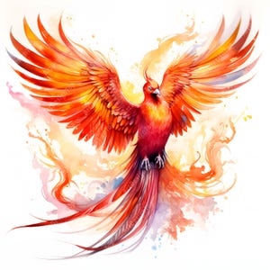Clipart Phoenix, magische Phoenix-afbeeldingen, 10 aquarel-illustraties, afdrukbare JPG's, Instant Download, Commercieel gebruik, Papercraft
