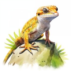 May include: A yellow and orange gecko with brown spots sits on a light brown rock with green foliage in the background.