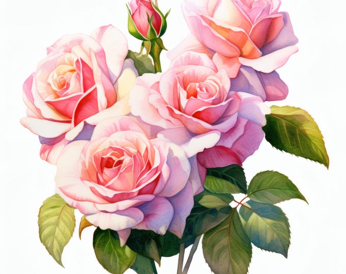 Rose Bouquet Clipart, Pink Rose Arrangement Images, 10 Watercolor Clip Art, Printable JPGs, Instant Download, Commercial Use, Paper craft