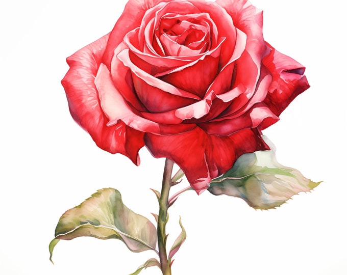 Red Rose Clipart, Rose Flower Images, 10 Watercolor Clip Art, Printable JPGs, Instant Download, Commercial Use, Paper craft