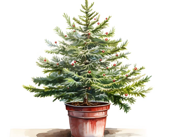 Potted Christmas Tree Clipart, Tree in Pot Images, 10 Watercolor Clip Art, Printable JPGs, Instant Download, Commercial Use, Paper craft
