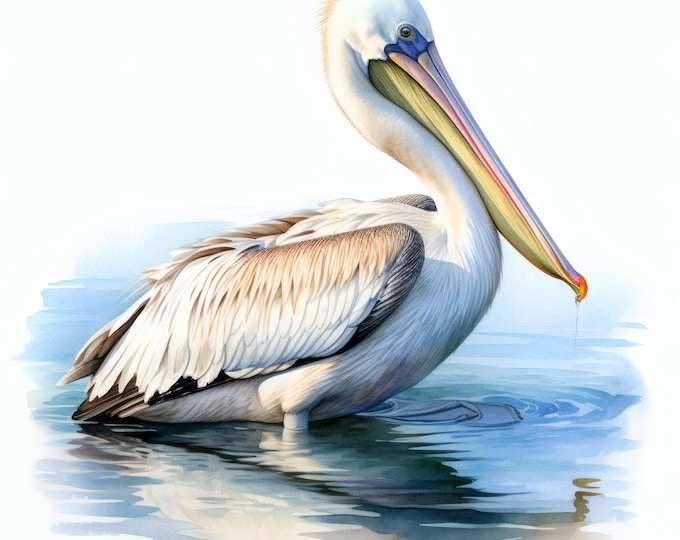 Pelican Clipart, Lake Bird Images, 10 Watercolor Clip Art, Printable JPGs, Instant Download, Commercial Use, Paper craft