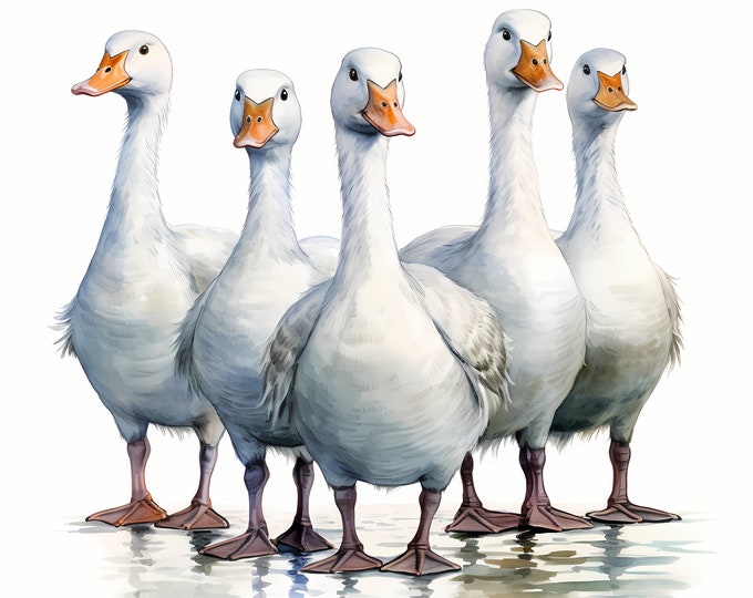 Geese Clipart, Farm Geese Images, 10 Watercolor Clip Art, Printable JPGs, Instant Download, Commercial Use, Paper craft