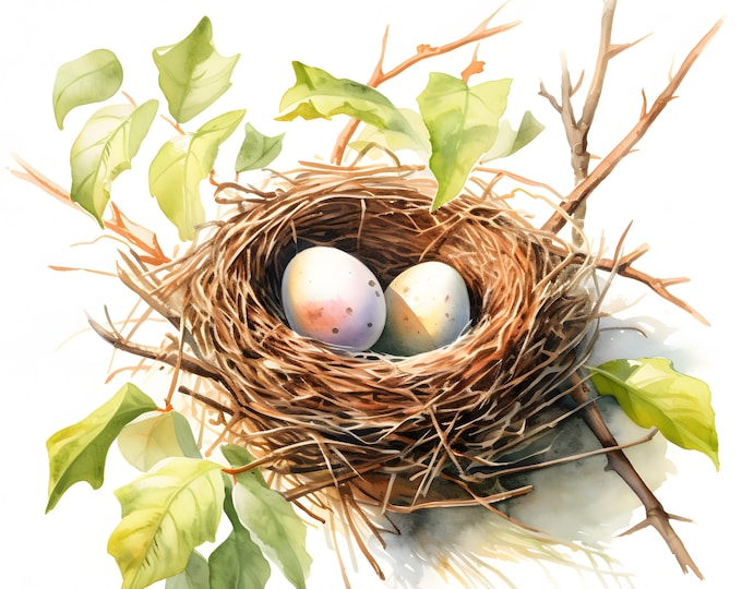 Nest With Eggs Clipart, Nest On Branch Images, 10 Watercolor Clip Art, Printable JPGs, Instant Download, Commercial Use, Paper craft