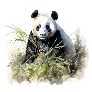 May include: A black and white panda bear sitting in tall green grass. The panda is looking directly at the viewer with a curious expression.