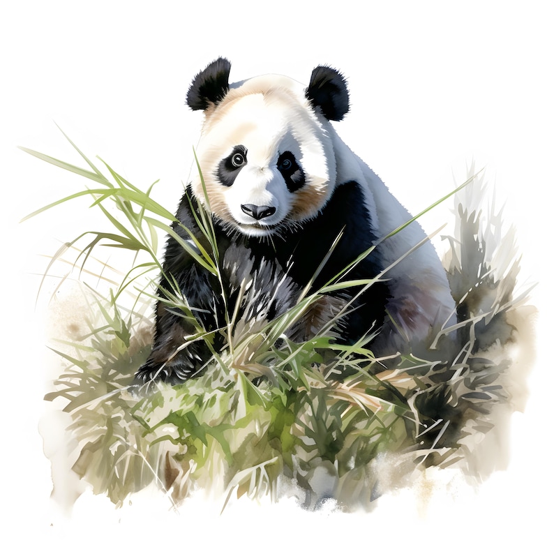 May include: A black and white panda bear sitting in tall green grass. The panda is looking directly at the viewer with a curious expression.