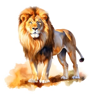 Clipart di leone, immagini di leonessa, 10 clipart ad acquerello, JPG stampabili, download immediato, uso commerciale, artigianato di carta