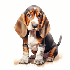 Clipart Basset Hound, images de chiot, 10 cliparts aquarelle, fichiers JPG imprimables, téléchargement immédiat, usage commercial, créations en papier