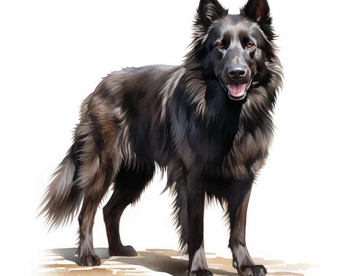 Belgian Sheepdog Clipart, Belgian Dog Images, 10 Watercolor Clip Art, Printable JPGs, Instant Download, Commercial Use, Paper craft