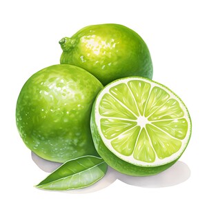 Limes Clipart, Lime Fruits Images, 10 Watercolor Clip Art, Printable Jpgs, Instant Download ...