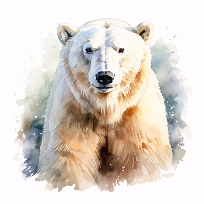 Polar Bear Clipart, Arctic Animal Images, 10 Watercolor Clip Art ...