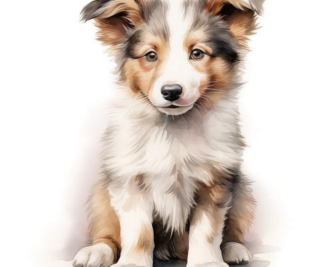 Shetland Sheepdog Dog Clipart, Puppy Dog Images, 10 Watercolor Clip Art, Printable JPGs, Instant Download, Commercial Use, Paper craft