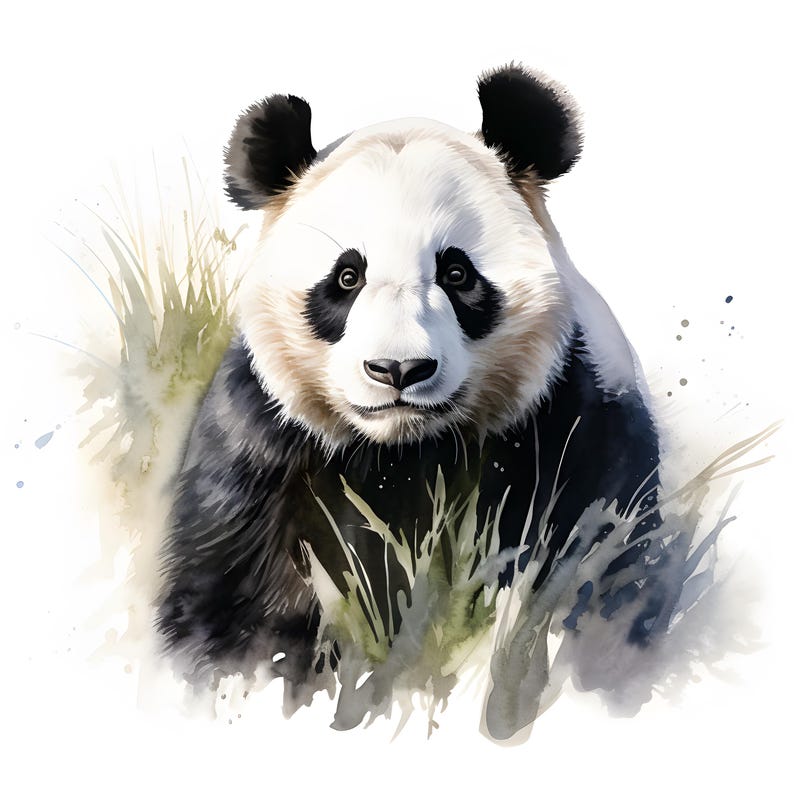 May include: A watercolor painting of a black and white panda bear with a soft, fuzzy appearance. The panda is looking directly at the viewer with a gentle expression. The panda is surrounded by green grass and leaves, creating a natural and serene scene.