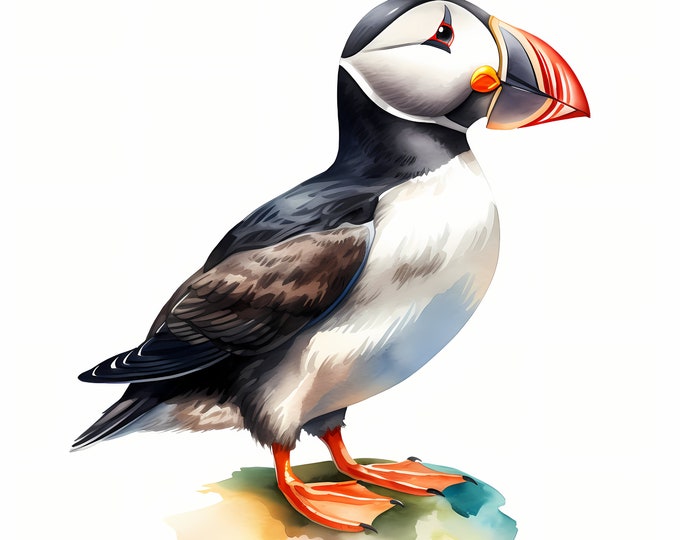 Adorable Puffin Clipart, Cute Puffin Images, 10 Watercolor Clip Art, Printable JPGs, Instant Download, Commercial Use, Paper craft