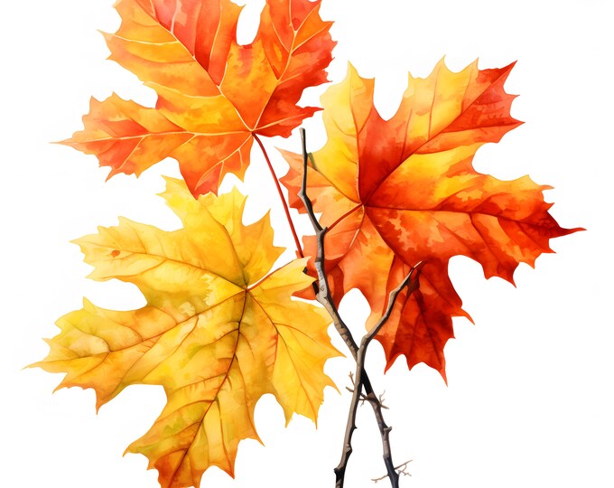 Autumn Leaves Clipart, Fall Leaves Images, 10 Watercolor Clip Art, Printable JPGs, Instant Download, Commercial Use, Paper craft