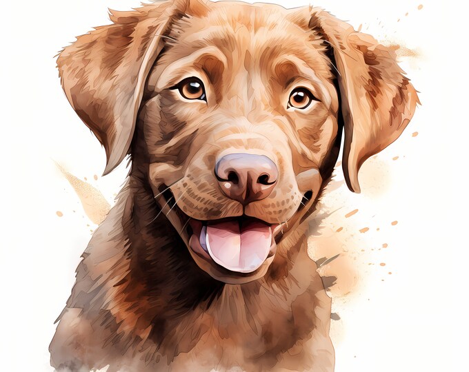 Chesapeake Bay Retriever Clipart, Puppy Dog Images, 10 Watercolor Clip Art, Printable JPGs, Instant Download, Commercial Use, Paper craft