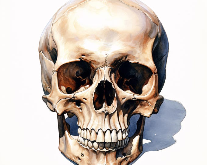 Watercolor Skull Clipart: Halloween Gothic Art, Commercial Use (JPGs, Instant Download)