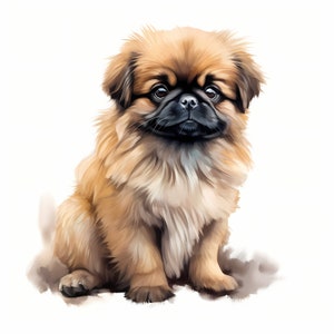 Pekingese Dog Clipart, Puppy Dog Images, 10 Watercolor Clip Art, Printable JPGs, Instant Download, Commercial Use, Paper craft