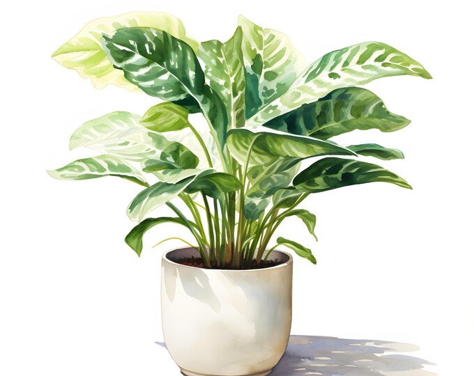 Indoor Plant Clipart, House Plants Images, 10 Watercolor Clip Art, Printable JPGs, Instant Download, Commercial Use, Paper craft