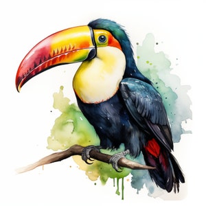 Toucan Clipart, Tropical Toucan Images, 10 Watercolor Clip Art, Printable JPGs, Instant Download, Commercial Use, Paper craft