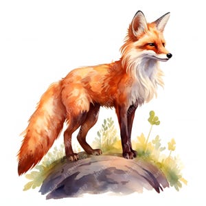 Clipart renard lunatique, images de la forêt de renard, 10 cliparts aquarelle, fichiers JPG imprimables, téléchargement immédiat, usage commercial, créations en papier