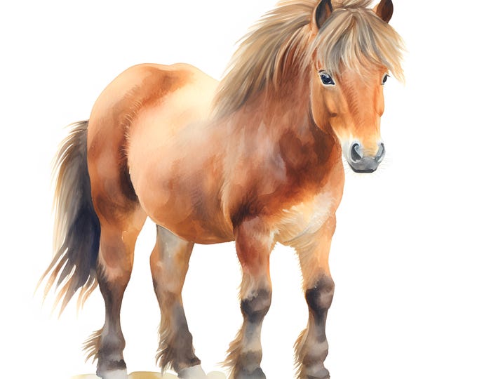 Pony Clipart, Shetland Pony Images, 10 Watercolor Clip Art, Printable JPGs, Instant Download, Commercial Use, Paper craft