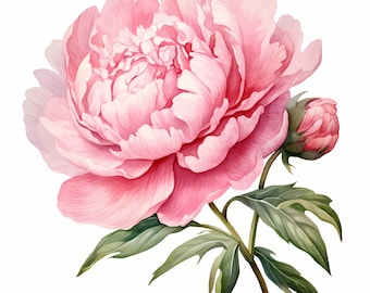 Pink Peony Clipart, Summer Flower Images, 10 Watercolor Clip Art, Printable JPGs, Instant Download, Commercial Use, Paper craft