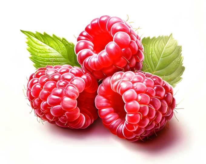 Raspberries Clipart, Raspberry Fruits Images, 10 Watercolor Clip Art, Printable JPGs, Instant Download, Commercial Use, Paper craft