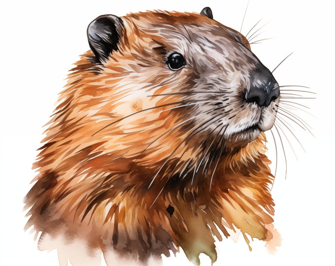 Beaver Clipart, Cute Beaver Images, 10 Watercolor Clip Art, Printable JPGs, Instant Download, Commercial Use, Paper craft