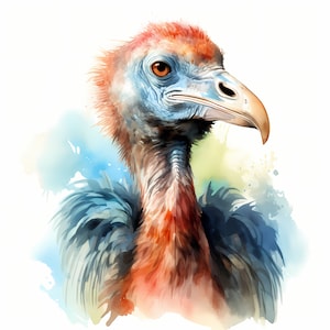 Dodo Clipart, Dodo Birds Images, 10 Watercolor Clip Art, Printable JPGs, Instant Download, Commercial Use, Paper craft