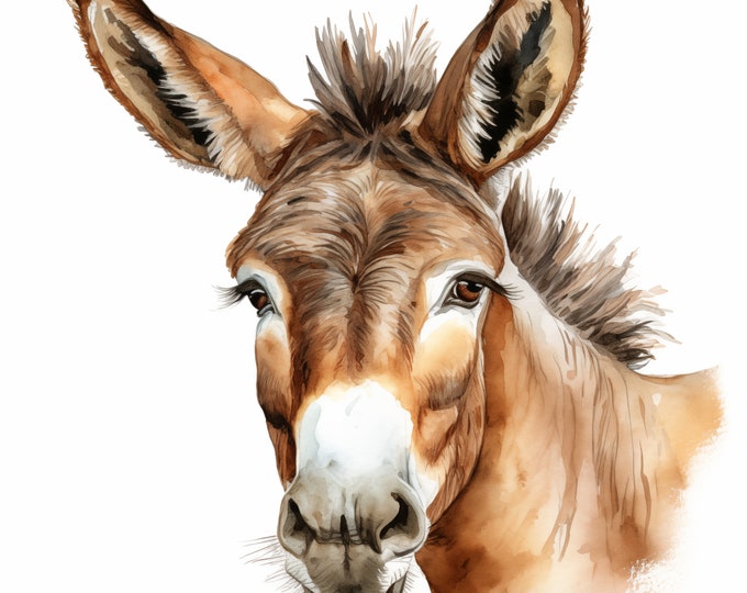 Donkey Clipart, Farm Donkeys Images, 12 Watercolor Clip Art, Printable JPGs, Instant Download, Commercial Use, Paper craft