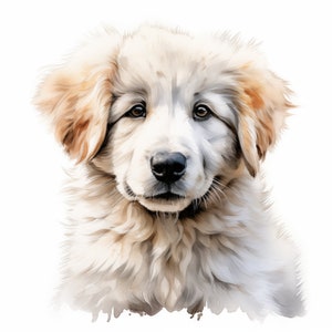 Pyrenäen Sennenhund Clipart, Welpe Hund Bilder, 10 Aquarell Clip Art, druckbare JPGs, Sofort Download, kommerzielle Nutzung, Papiermodell