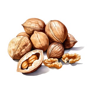 Watercolor Nuts Clipart: Mixed Nuts Illustration (JPG Digital Download)