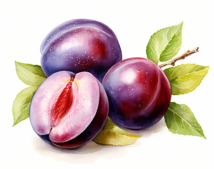 Plums Clipart, Purple Fruits Images, 10 Watercolor Clip Art, Printable JPGs, Instant Download, Commercial Use, Paper craft