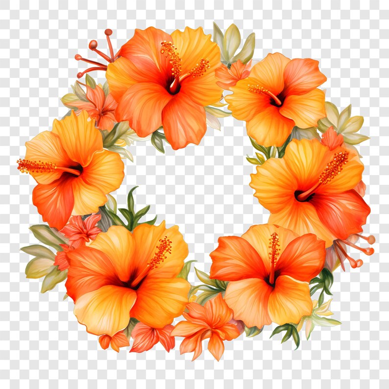 10 PNG Hibiscus Wreath Clipart, Tropical Floral Frame Images ...