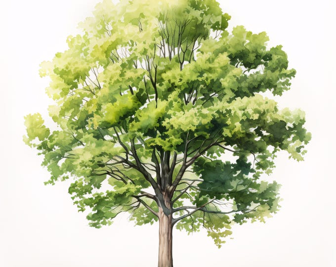 Lush Trees Clipart, Nature Landscape Images, 10 Watercolor Clip Art, Printable JPGs, Instant Download, Commercial Use, Paper craft