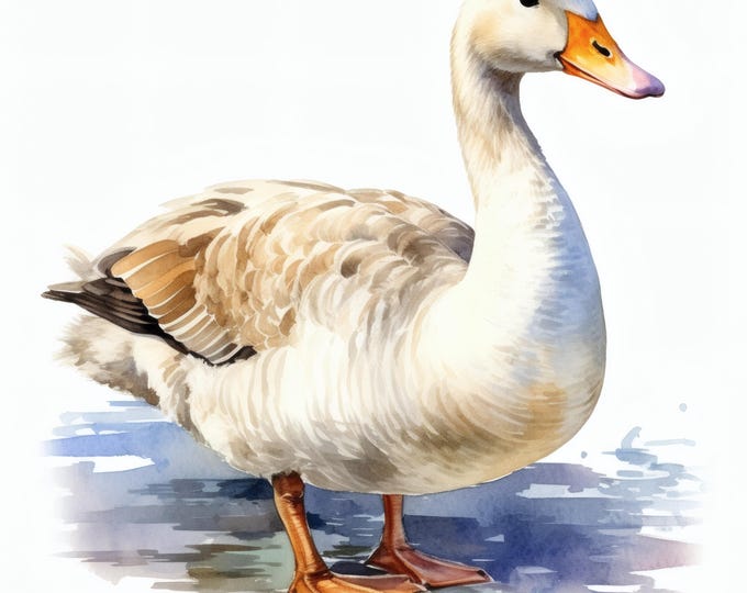 Goose Clipart, Funny Duck-Like Bird Images, 10 Watercolor Clip Art, Printable JPGs, Instant Download, Commercial Use, Paper craft