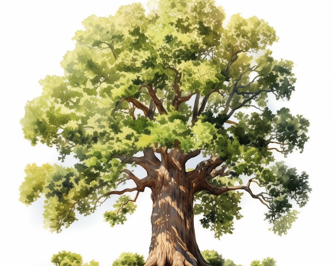 Oak Clipart, Oak Tree Images, 10 Watercolor Clip Art, Printable JPGs, Instant Download, Commercial Use, Paper craft