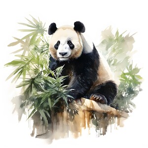 May include: A watercolor painting of a black and white panda bear sitting on a branch. The panda is looking at the viewer with a curious expression. The background is a soft green and brown, suggesting a bamboo forest.