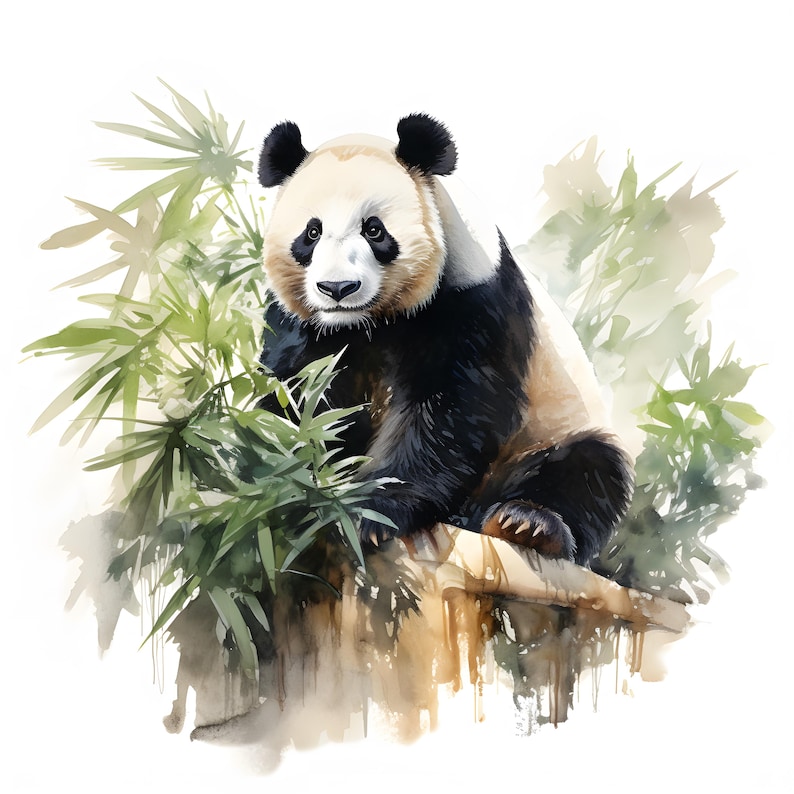 May include: A watercolor painting of a black and white panda bear sitting on a branch. The panda is looking at the viewer with a curious expression. The background is a soft green and brown, suggesting a bamboo forest.
