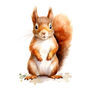 Clipart écureuil, images d'écureuils mignons, 10 cliparts aquarelle, fichiers JPG imprimables, téléchargement immédiat, usage commercial, créations en papier
