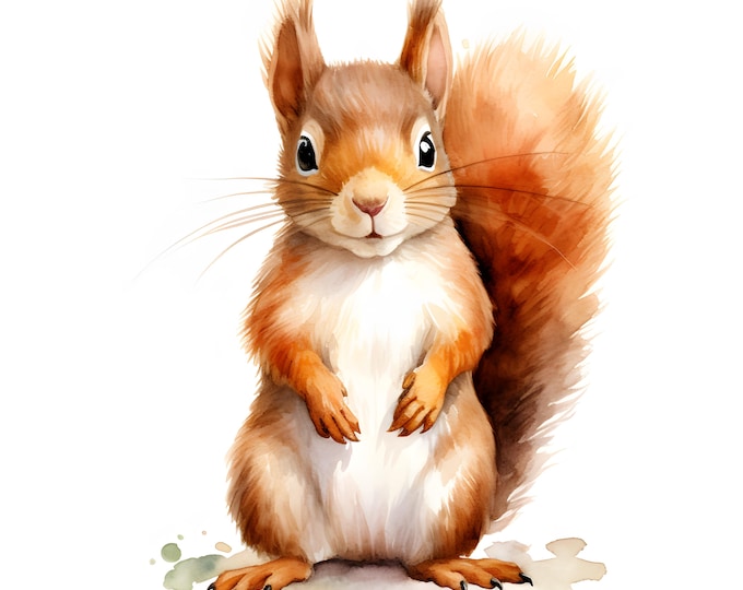Squirrel Clipart, Cute Squirrels Images, 10 Watercolor Clip Art, Printable JPGs, Instant Download, Commercial Use, Paper craft