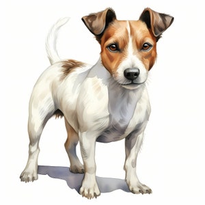 Jack Russell Terrier Clipart, 10 Aquarell Clip Art, druckbare JPGs, sofortiger Download, kommerzielle Nutzung, Papiermodell